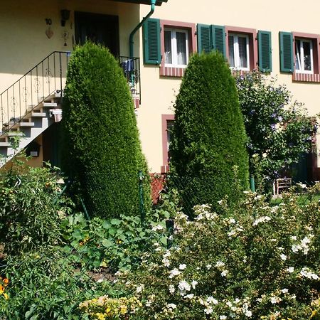 Dani'S Ferienwohnung Freiamt エクステリア 写真