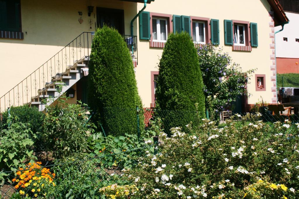 Dani'S Ferienwohnung Freiamt エクステリア 写真